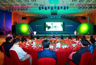 廣西專業(yè)婚慶策劃主持哪家好？非凡婚慶活動(dòng)策劃全方位解析