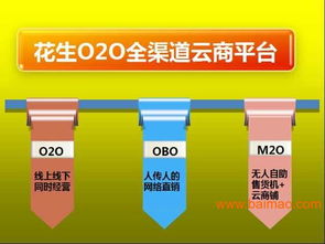 廣東F2C電商模式解決方案 專家指導(dǎo)、生產(chǎn)廠家合作與軟件開發(fā)價(jià)格解析