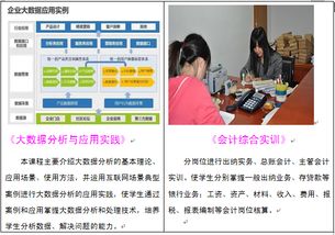 會計學院專業設置 會計信息管理與軟件開發融合發展探析——以湖南商務職業技術學院為例