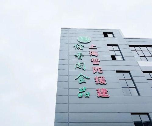 普陀區 打造產業新高地 跑出振興“加速度”
